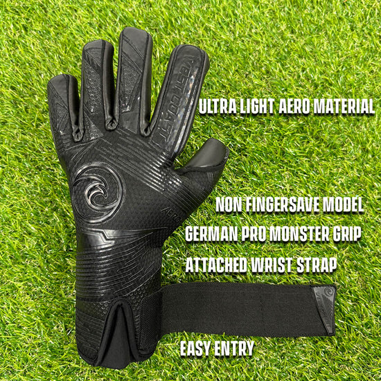 Glove Specs of the West Coast Aero Dark Matter
