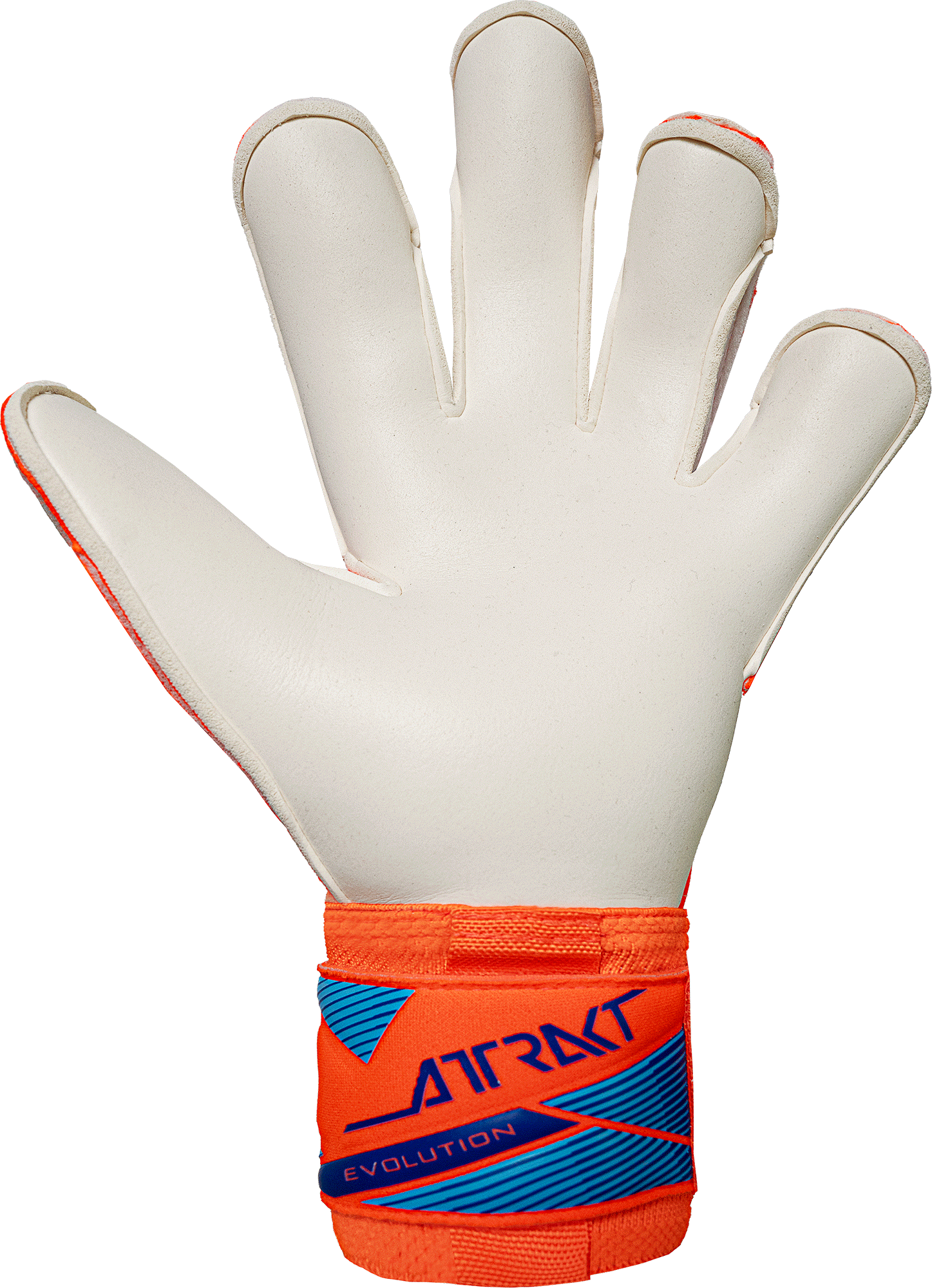 Reusch Attrakt Gold X Evolution