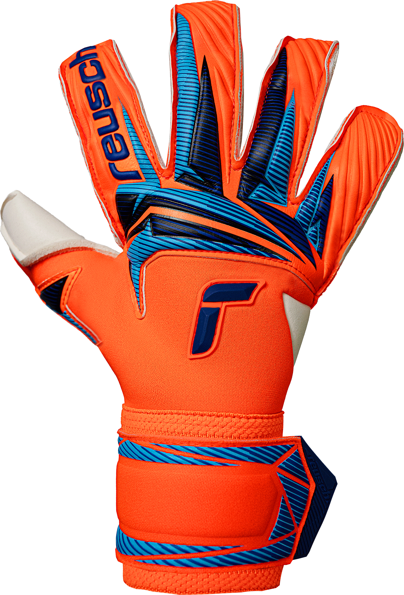 Reusch Attrakt Gold X Evolution