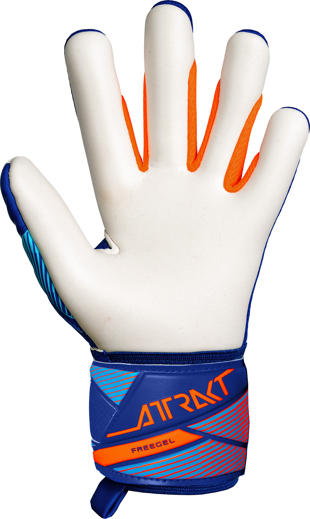 Reusch Attrakt Freegel Advance Junior