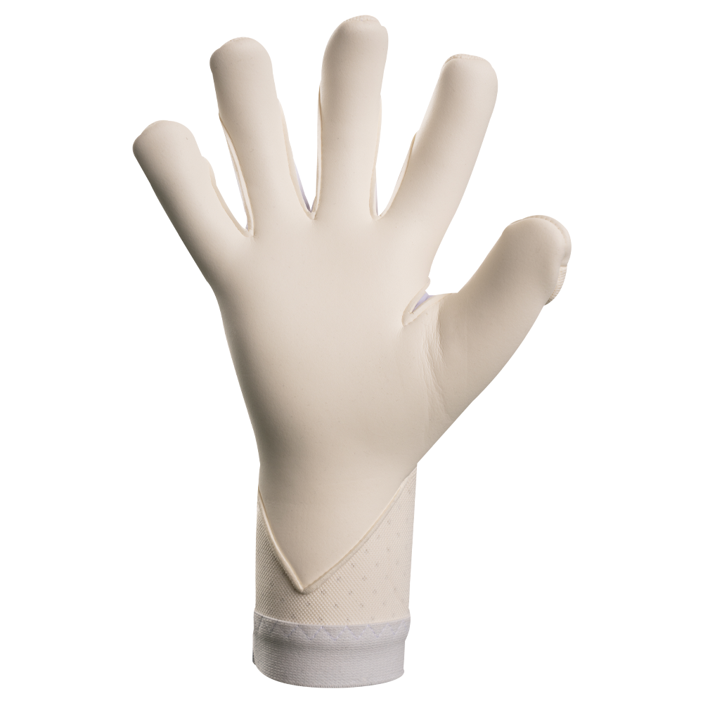 The OG1 Vision HYL SL