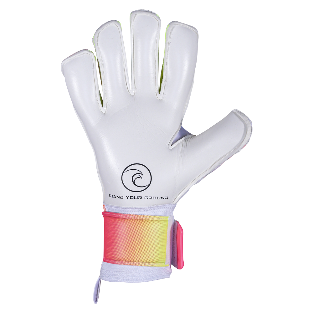 Goalkeeper gloves under $75