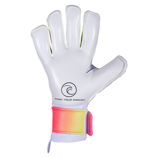 Goalkeeper gloves under $75