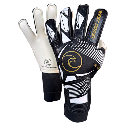 West Coast Aero Delta