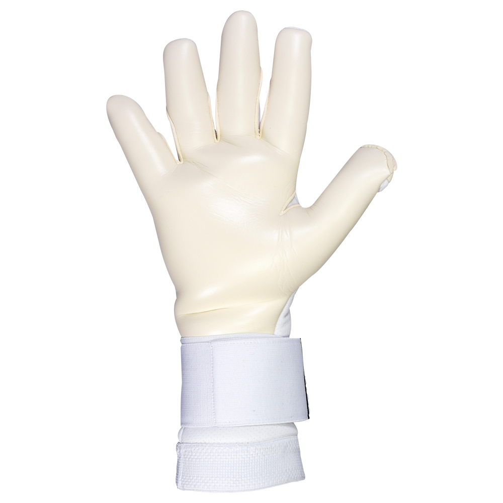 T1tan White Beast 3.0