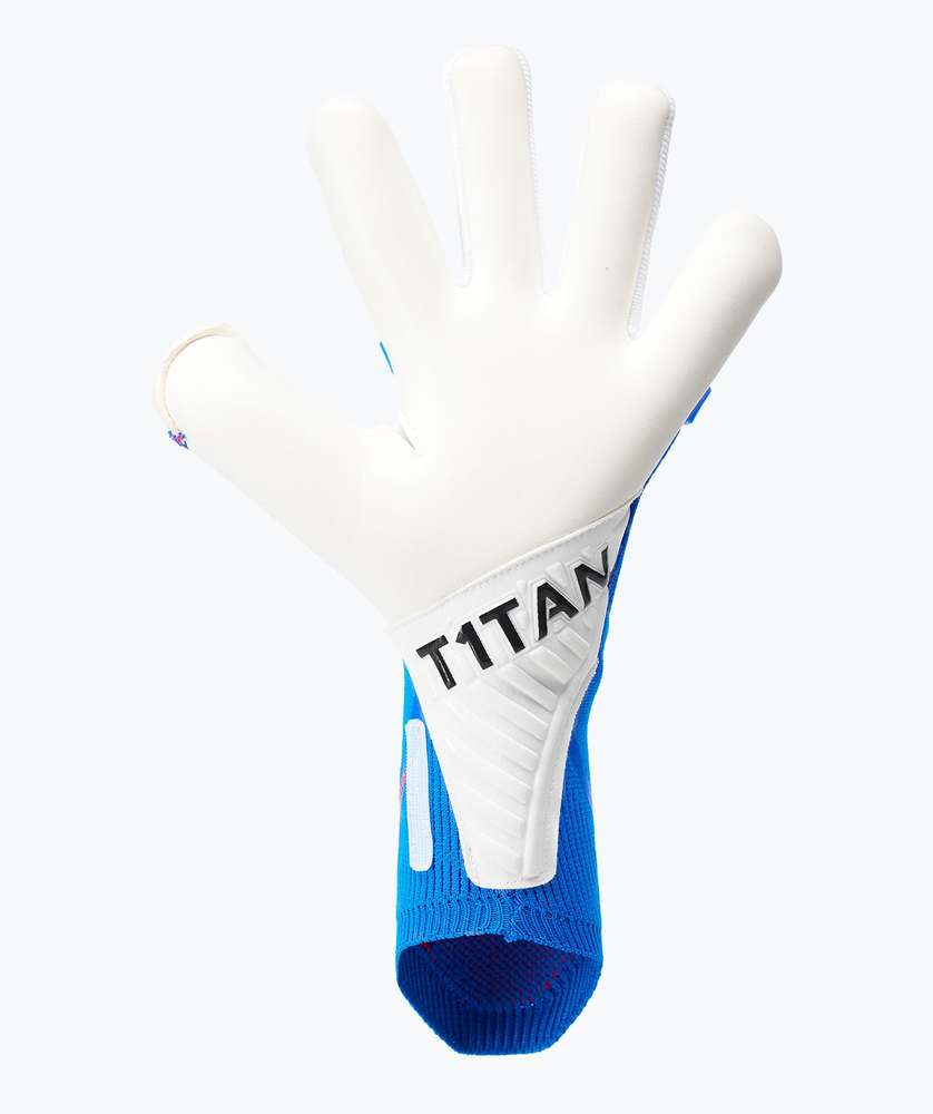 T1tan Al1en Gravity Blue Palm