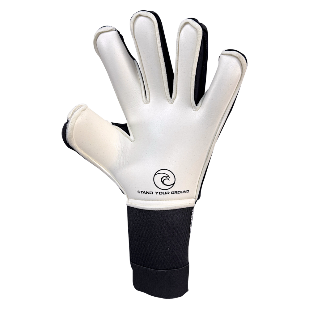 West Coast Aero Delta Palm