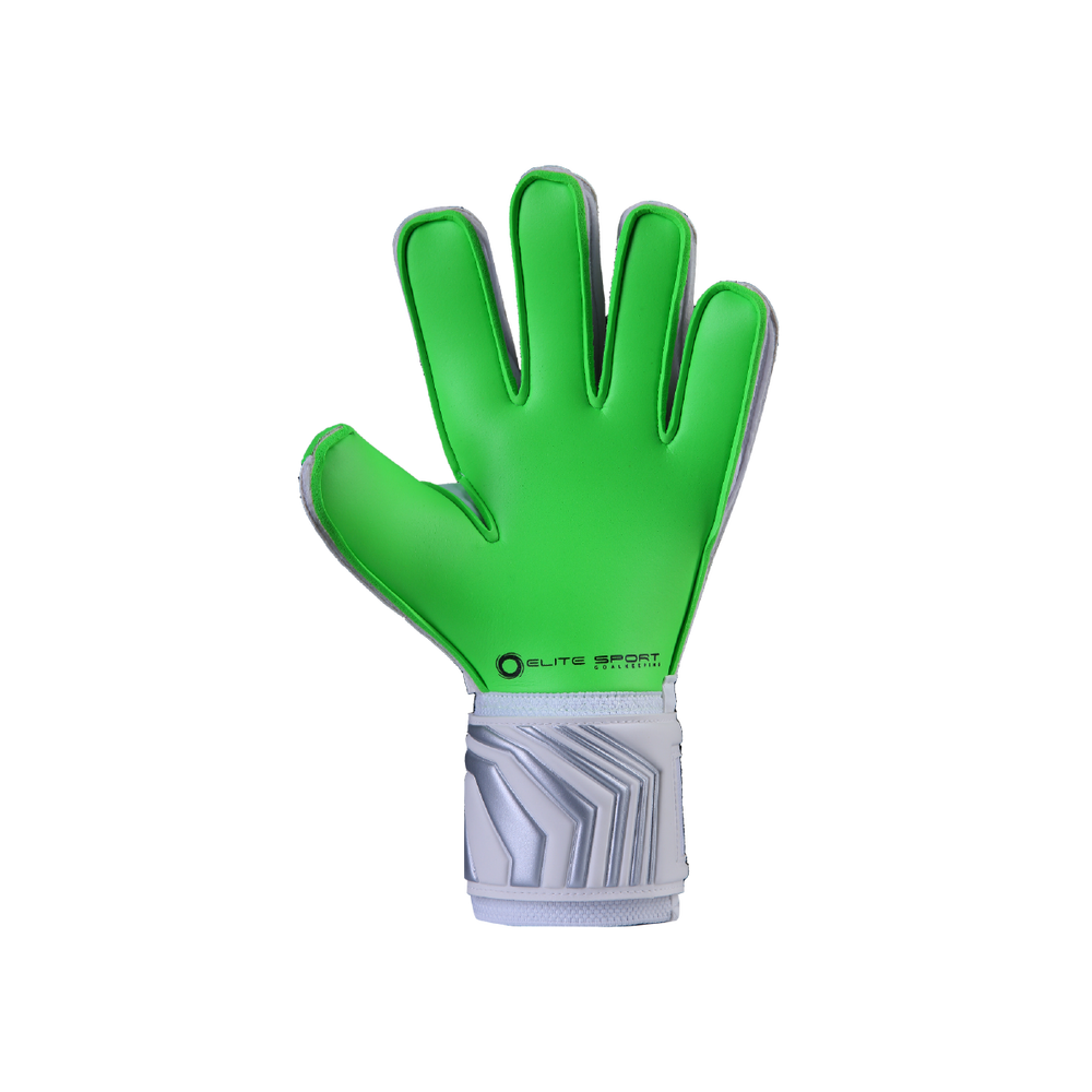 Palm of the Elite Sport Andalucia