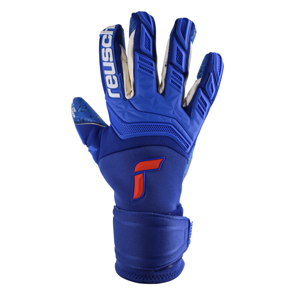 Reusch Attrakt Freegel Fusion Goaliator Backhand