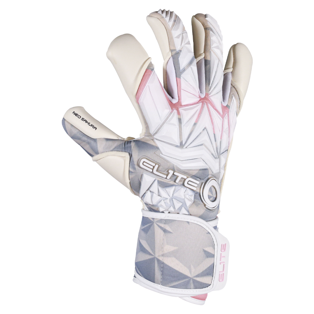 pro goalkeeper gloves