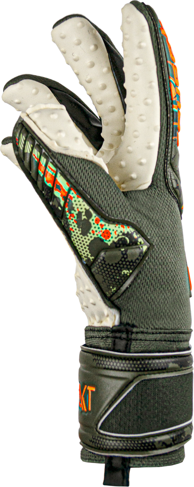 Evolution Negative Cut from Reusch