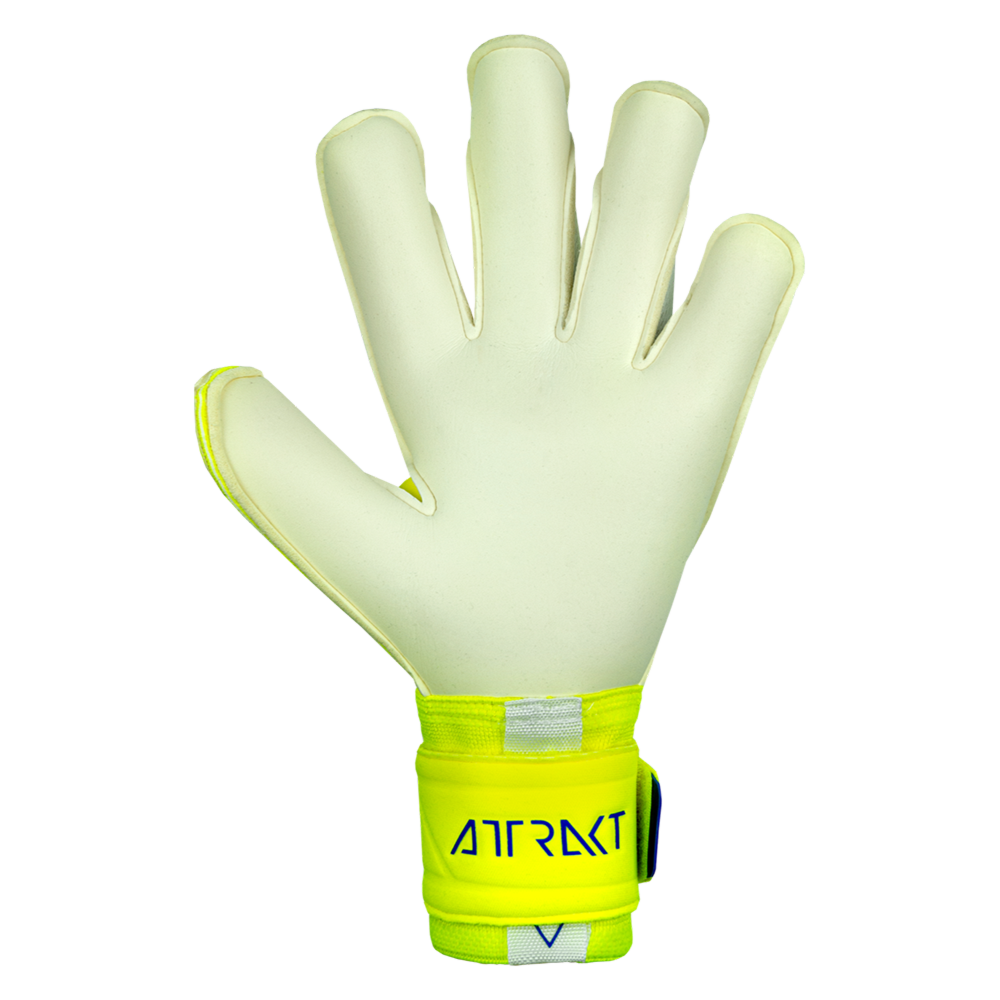 Reusch Attrakt Gold X Alpha Palm