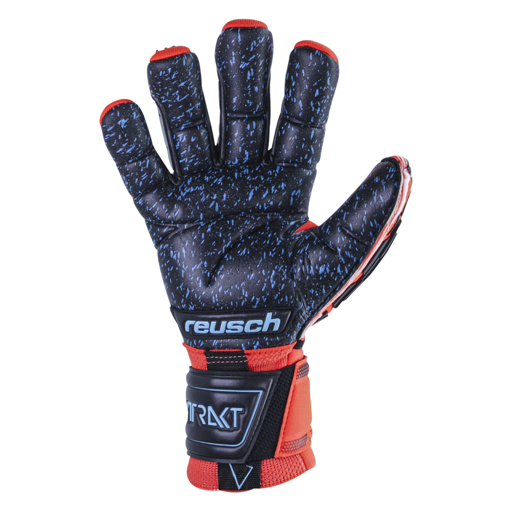Reusch Attrakt Freegel Fusion Ortho-Tec Goaliator Palm