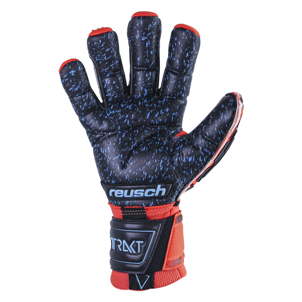 Reusch Attrakt Freegel Fusion Ortho-Tec Goaliator Palm