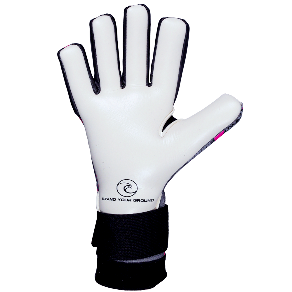 Palm of the West Coast Aero Gamma